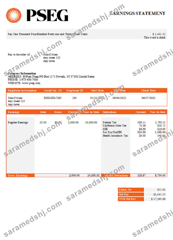 USA PSEG utilities company pay stub